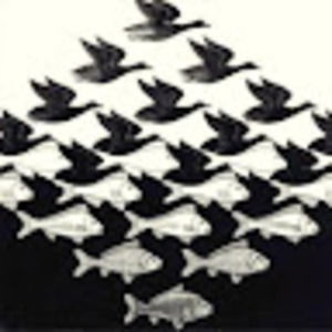 Meet your Posher, Natalia